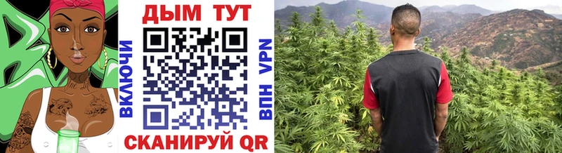 Марихуана тримм  купить  сайты  это телеграм  Советский 